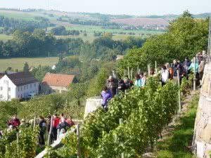 elbtal weinlauf Abstieg