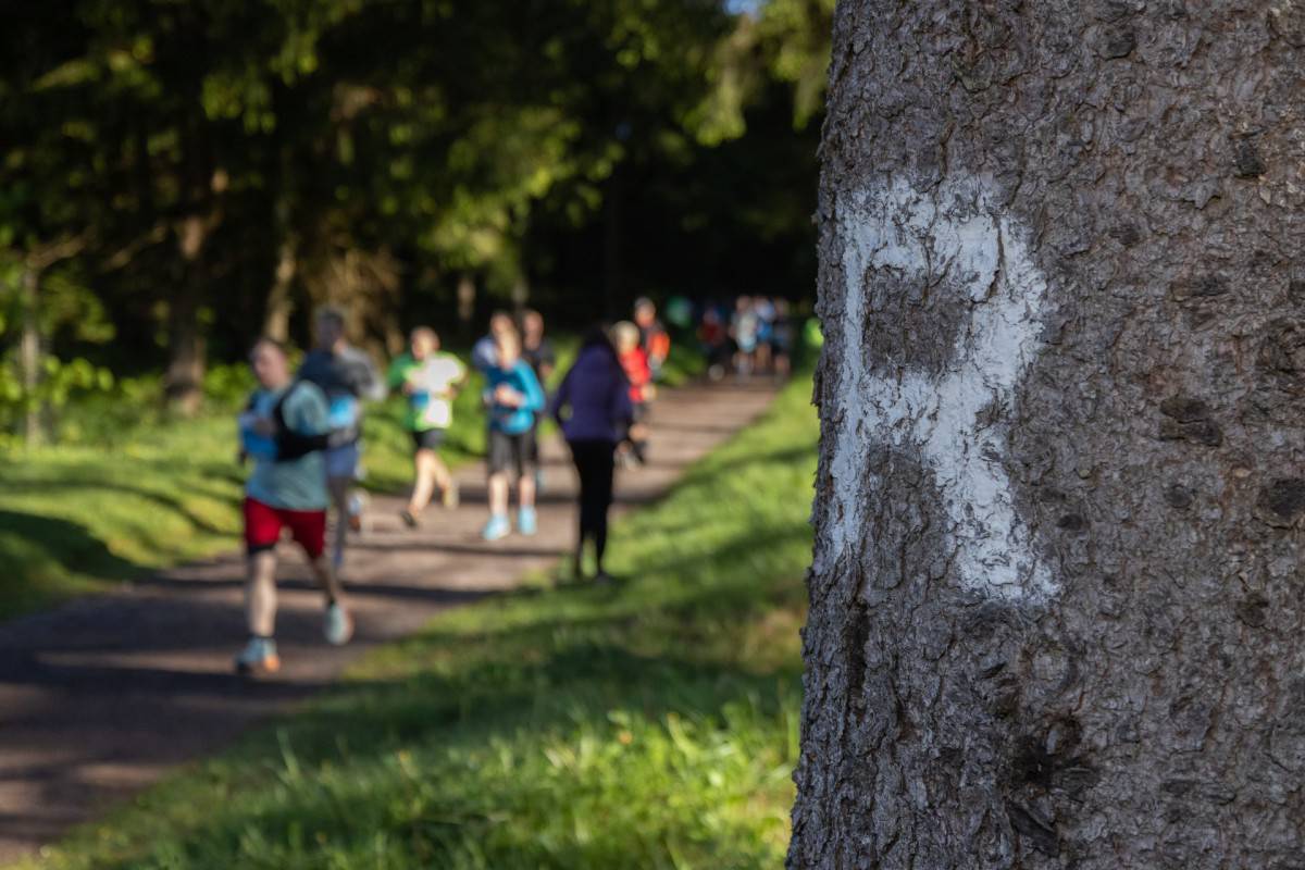 Laufladen Erfurt x Brooks x Bustransfer zum Rennsteiglauf 2027 Cover